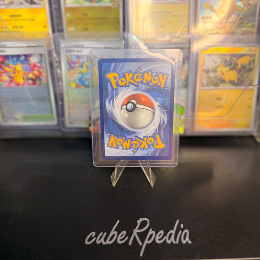 Pokémon | Mightyena 243/217 | Ascended Heroes | English - product photo 2