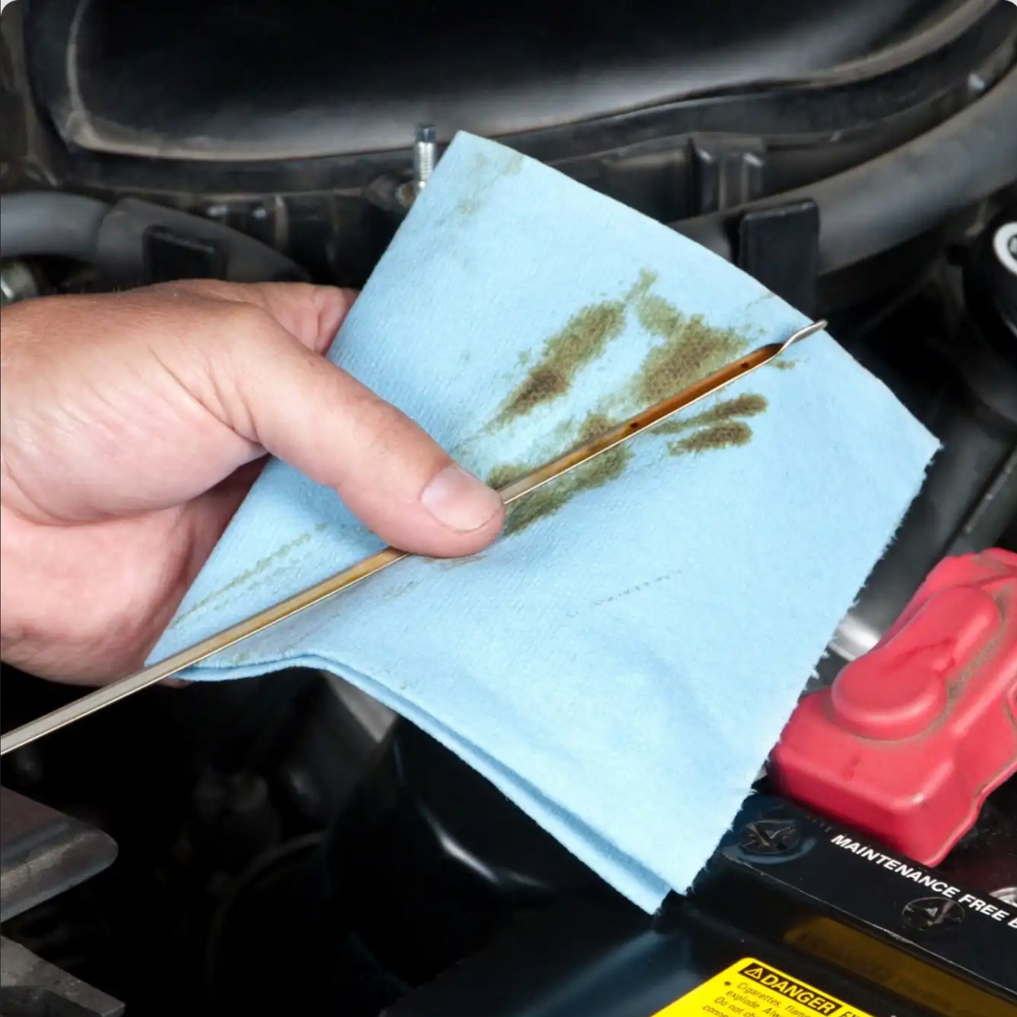 Scott Shop Multi-Purpose Towels