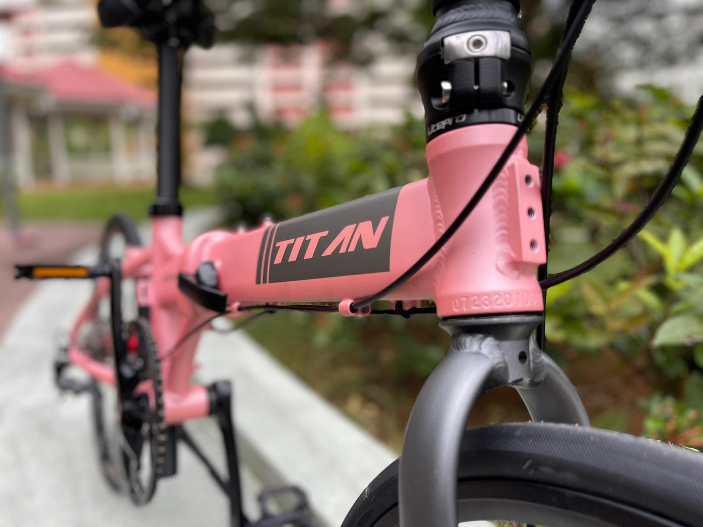 TITAN Vertron with 9 Speed Shimano - Pink