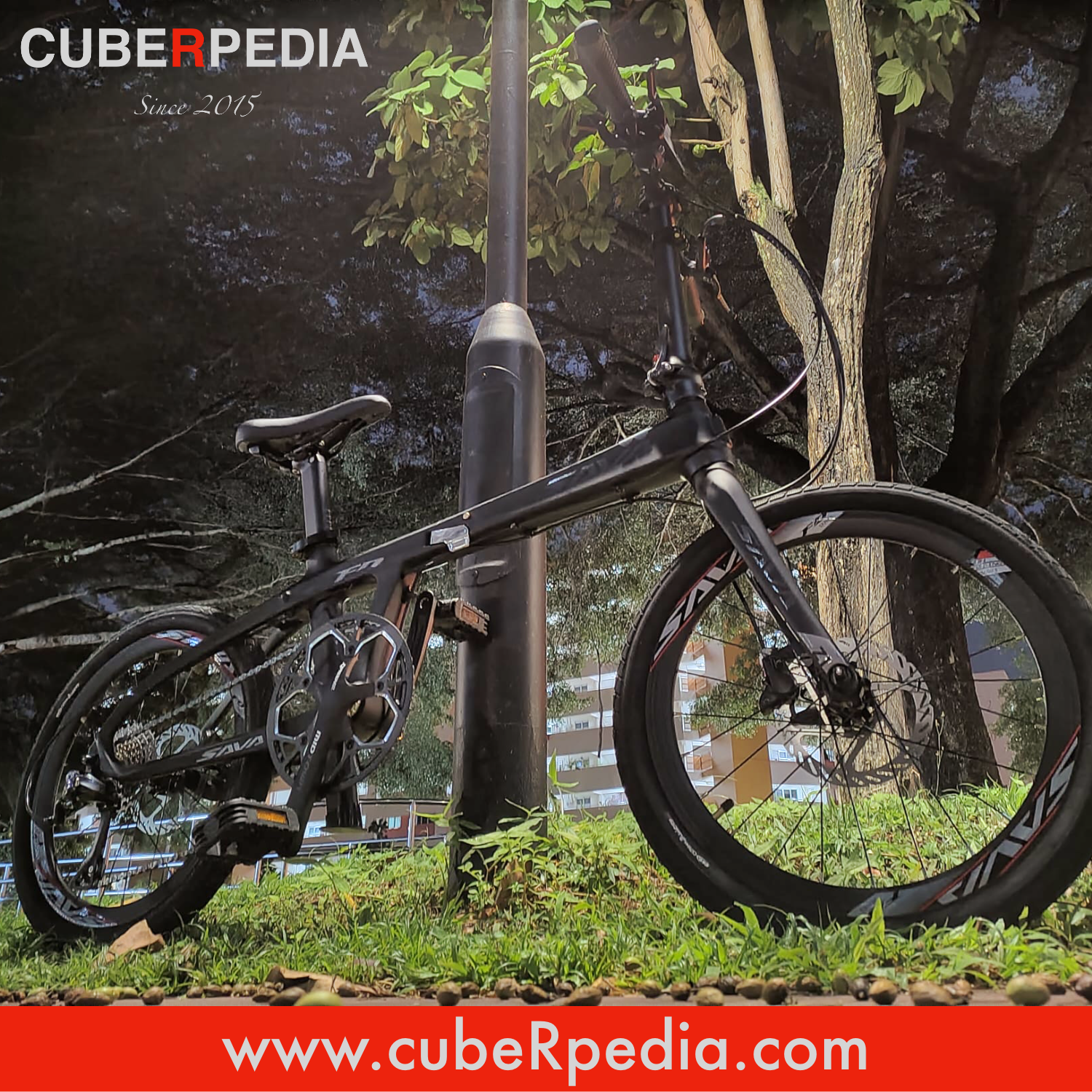 Sava Z1 Carbon Fiber 20