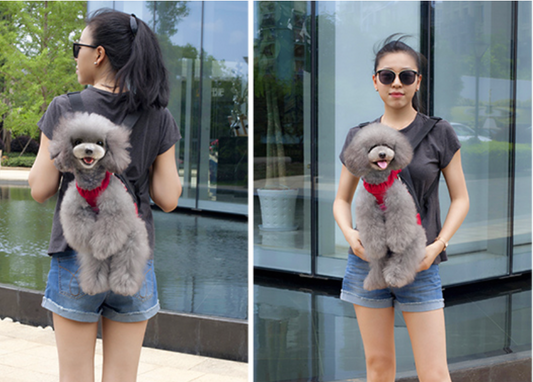 FYONGPET Dog/Cat Backpack Carriers - Large