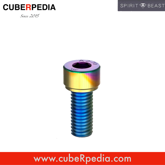 Spirit Beast 304 M5 x 12 Screw