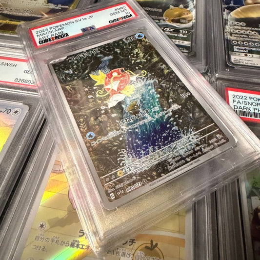 Pokémon | Magikarp 080/073 | Triplet Beat | Japanese | PSA 10 - product photo 1