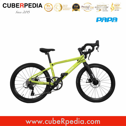 Papa Bike Fast Race 451 - Green