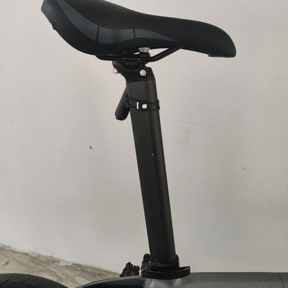 [22] VOLCK Rhyolite Carbon Foldable Bicycle [Used]