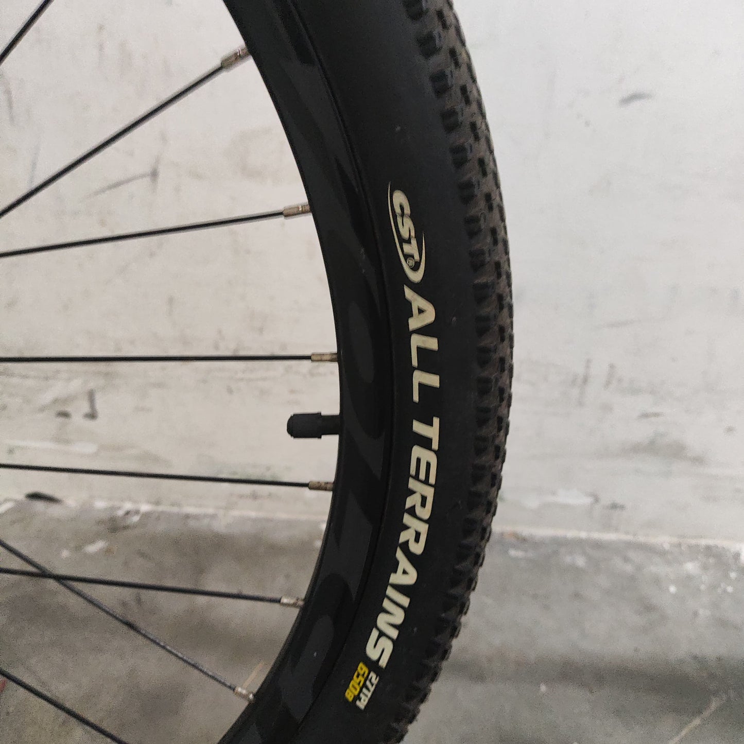 [08] Volck Marl 2 Carbon Mountain Bike [Demo]