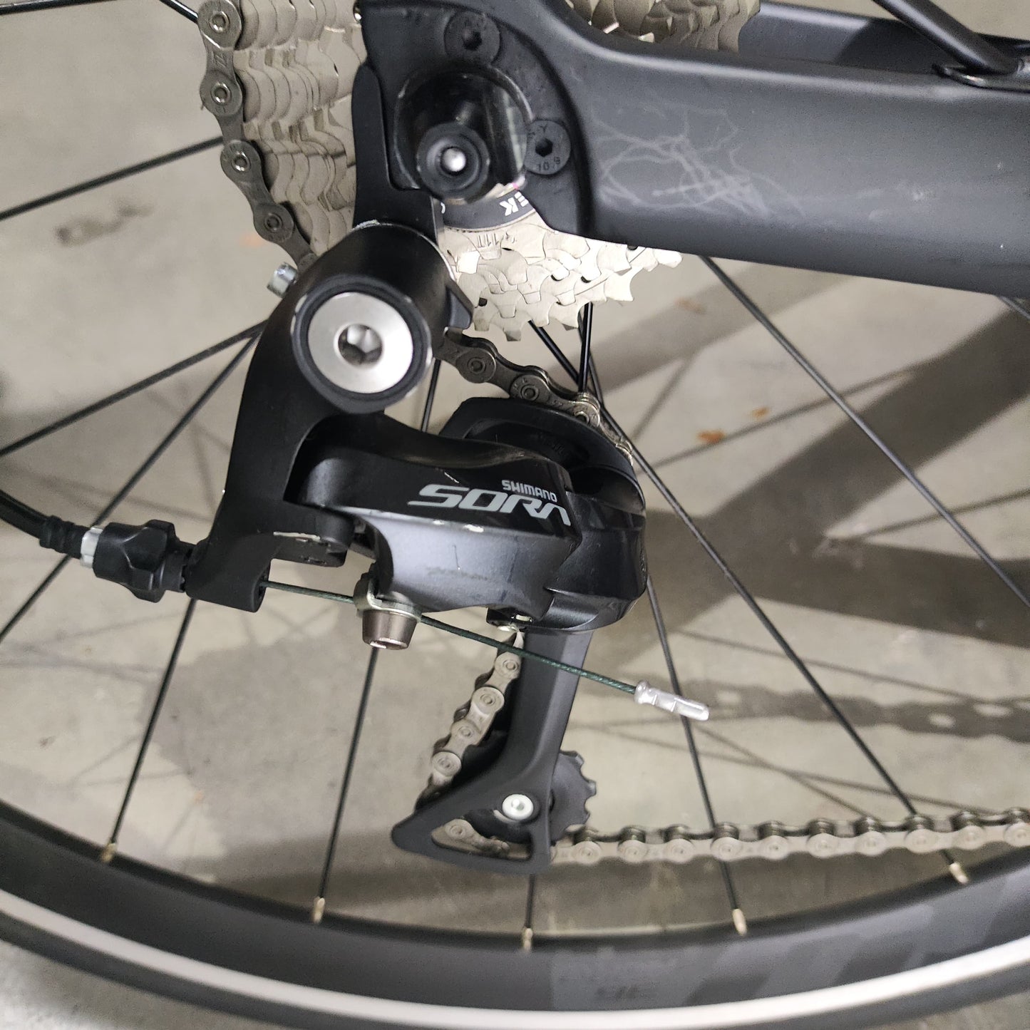 [12] SAVA Colorado Carbon Road Bike [Demo]