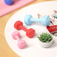 TITAN Lady Dumbbell PINK - 1 x 1KG
